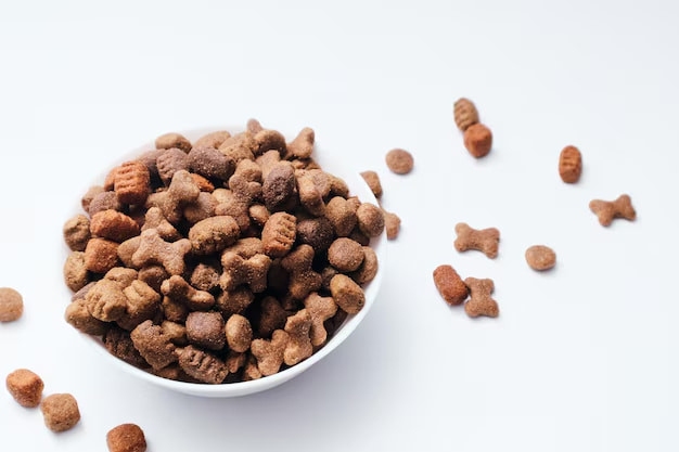 غذای سگ خانگی کاملا طبیعی برای تامین انرژی روزانه